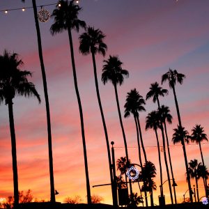 Scottsdale Arts District