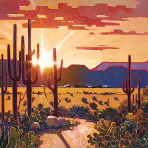 Pejman Gallery - Saguaro Sunset